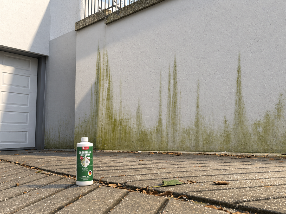 Grünbelag entfernen: Mit GreenX Pro zu sauberen Außenflächen