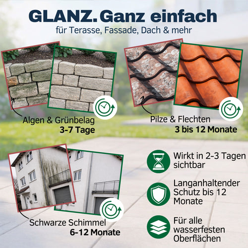 Grünbelagentferner GreenX Pro 5L Kanister (bis zu 500 m²)