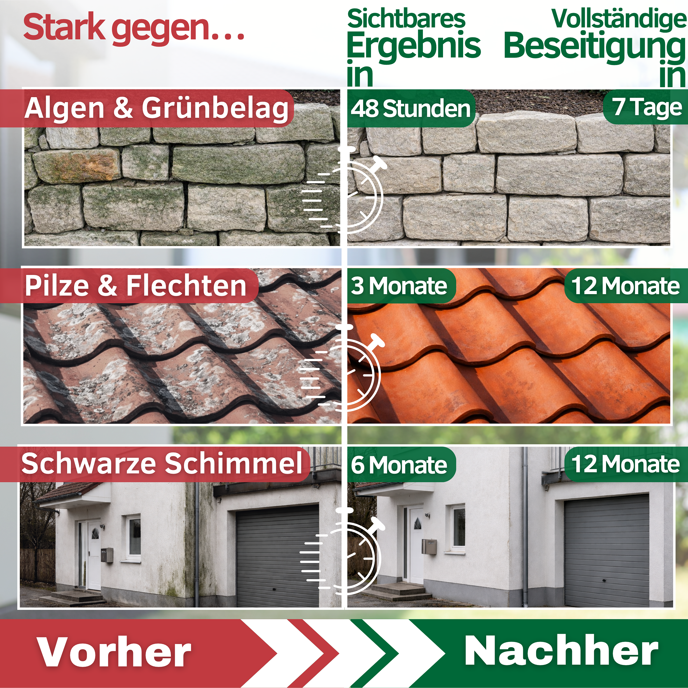 GreenX Pro Grünbelagentferner