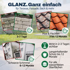 Grünbelag-Entferner Green X Pro gegen Algen, Flechten und schwarzen Schimmel – Empefly