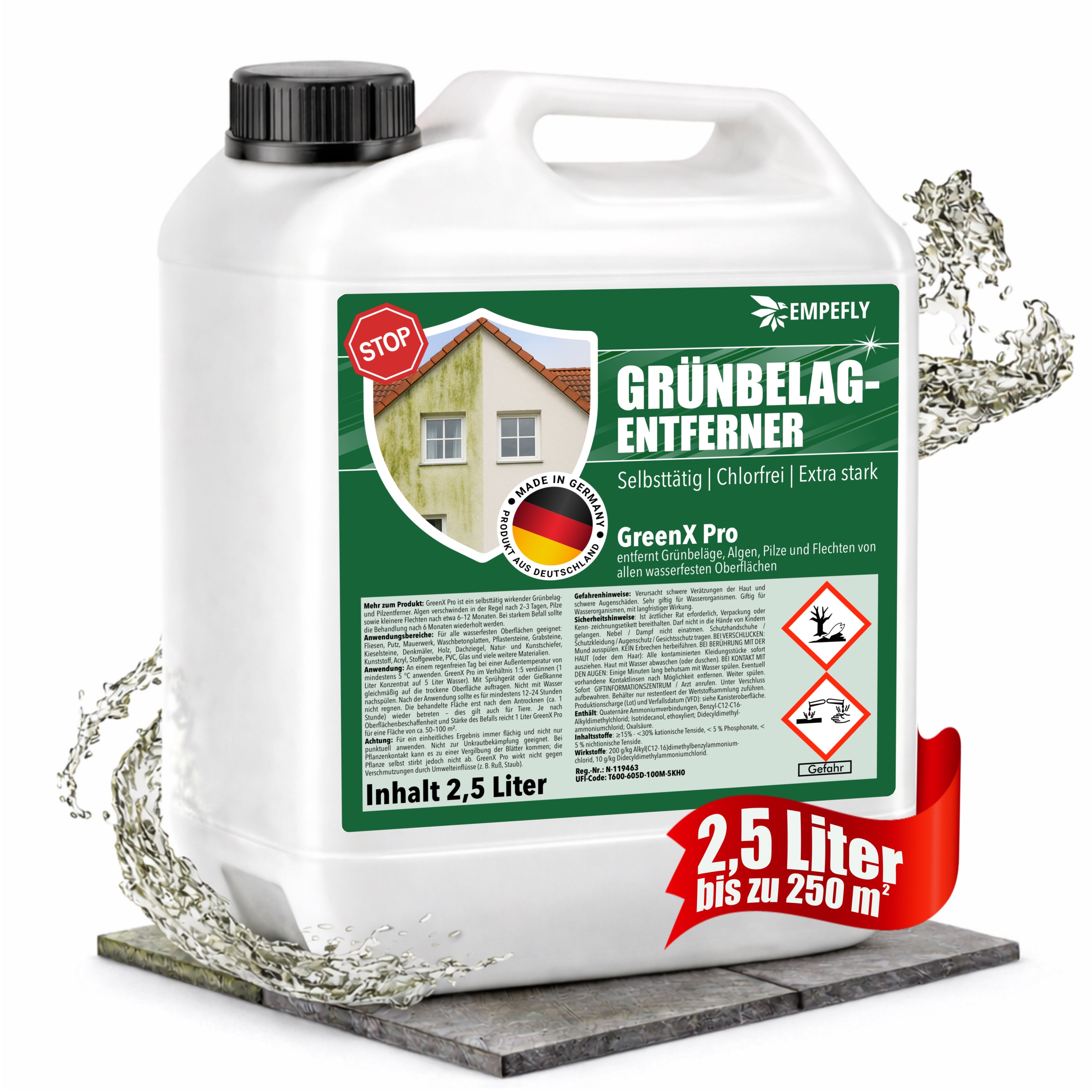 Grünbelagentferner GreenX Pro 2,5L Kanister (bis zu 250 m²)